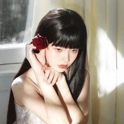 双子阴谋