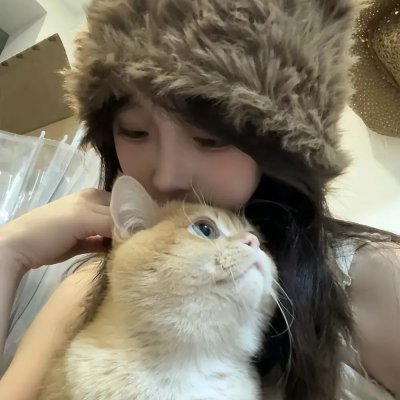 高朋满座粤语